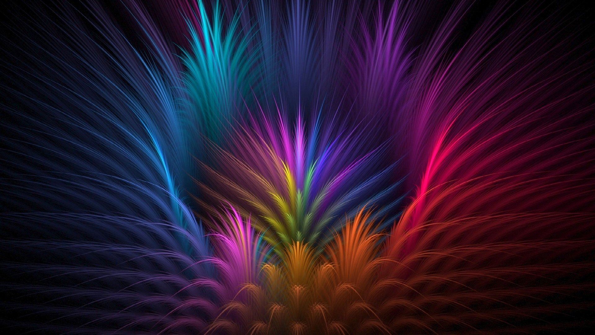 color luz plumas flor pétalos rayos líneas volumen simetría