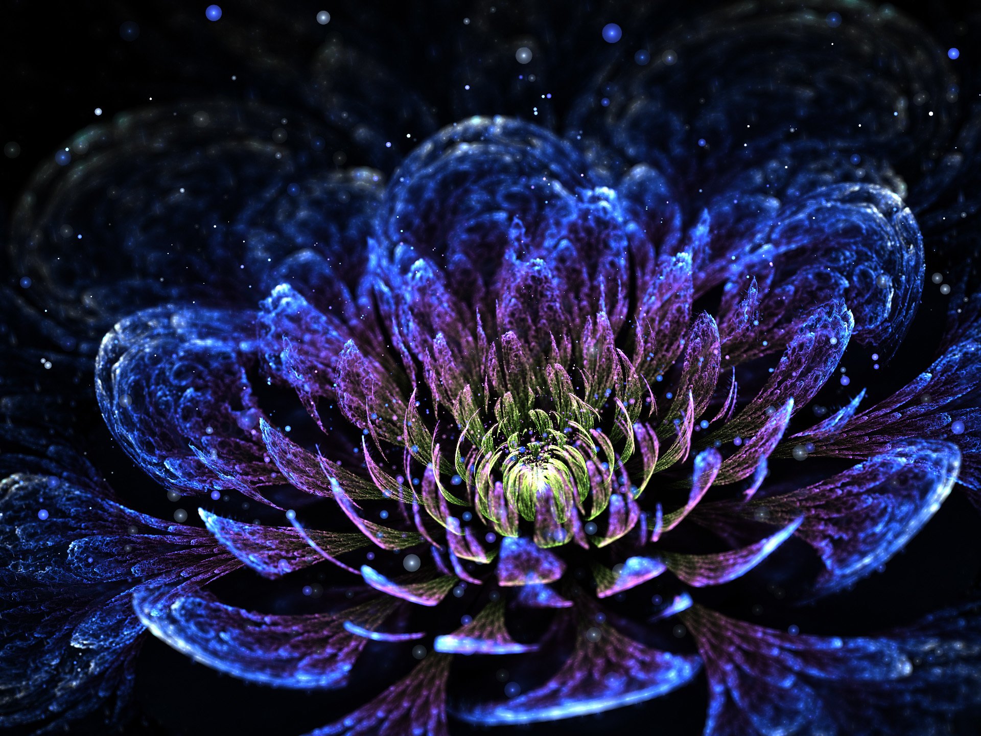abstracto 3d gráficos flor pétalos crisantemo bokeh