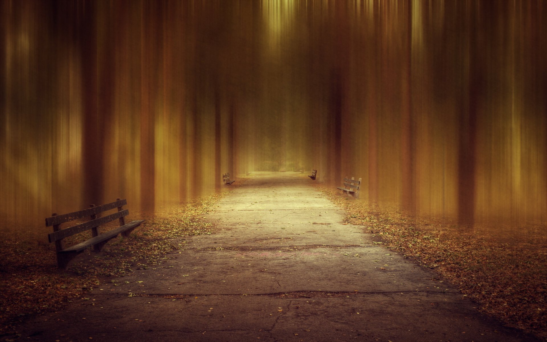 chicago lincoln park zoo abstract blur fall leaves tree