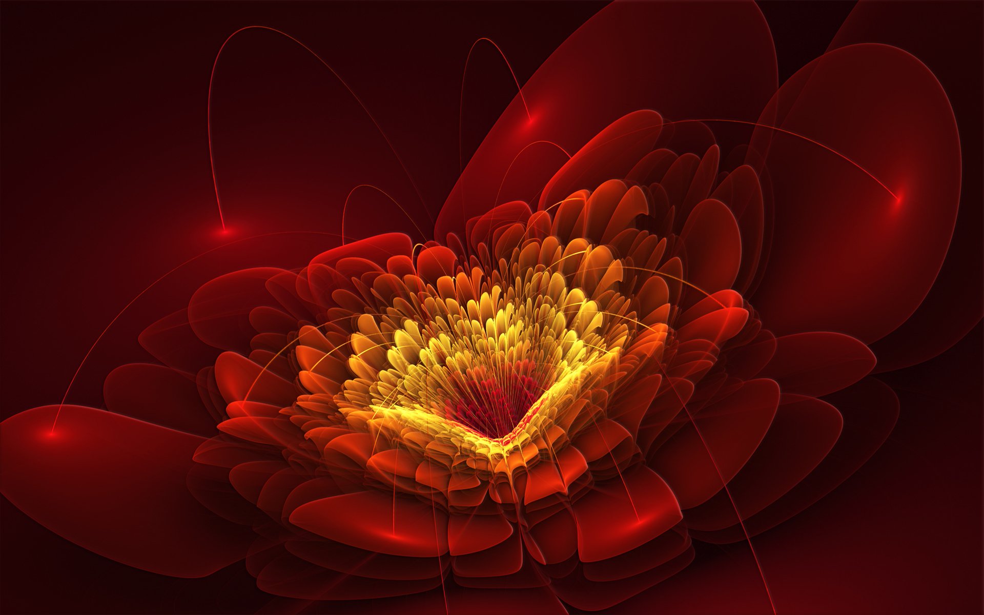 blume blütenblätter linien rot