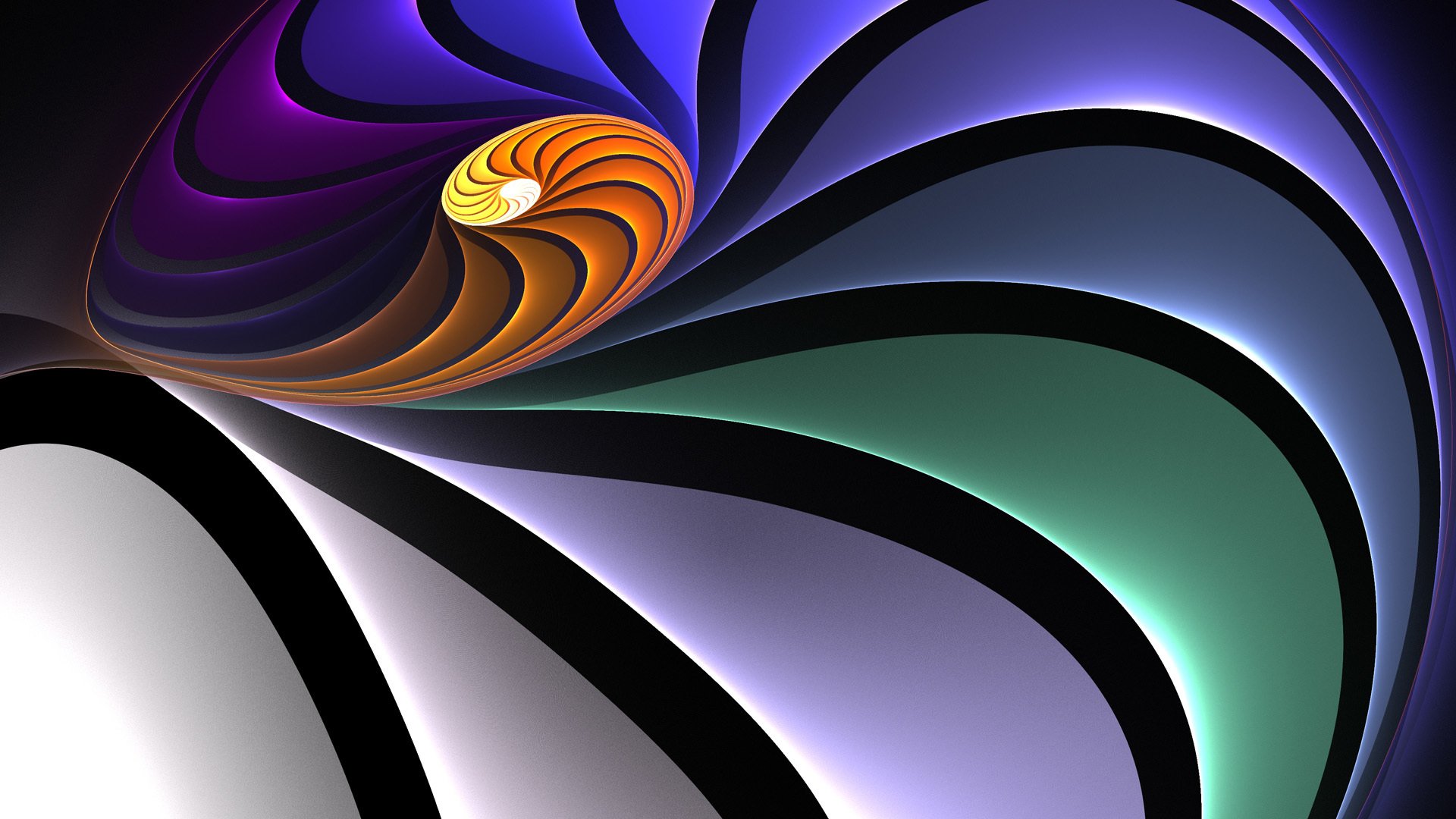 spirale conchiglia linee curve
