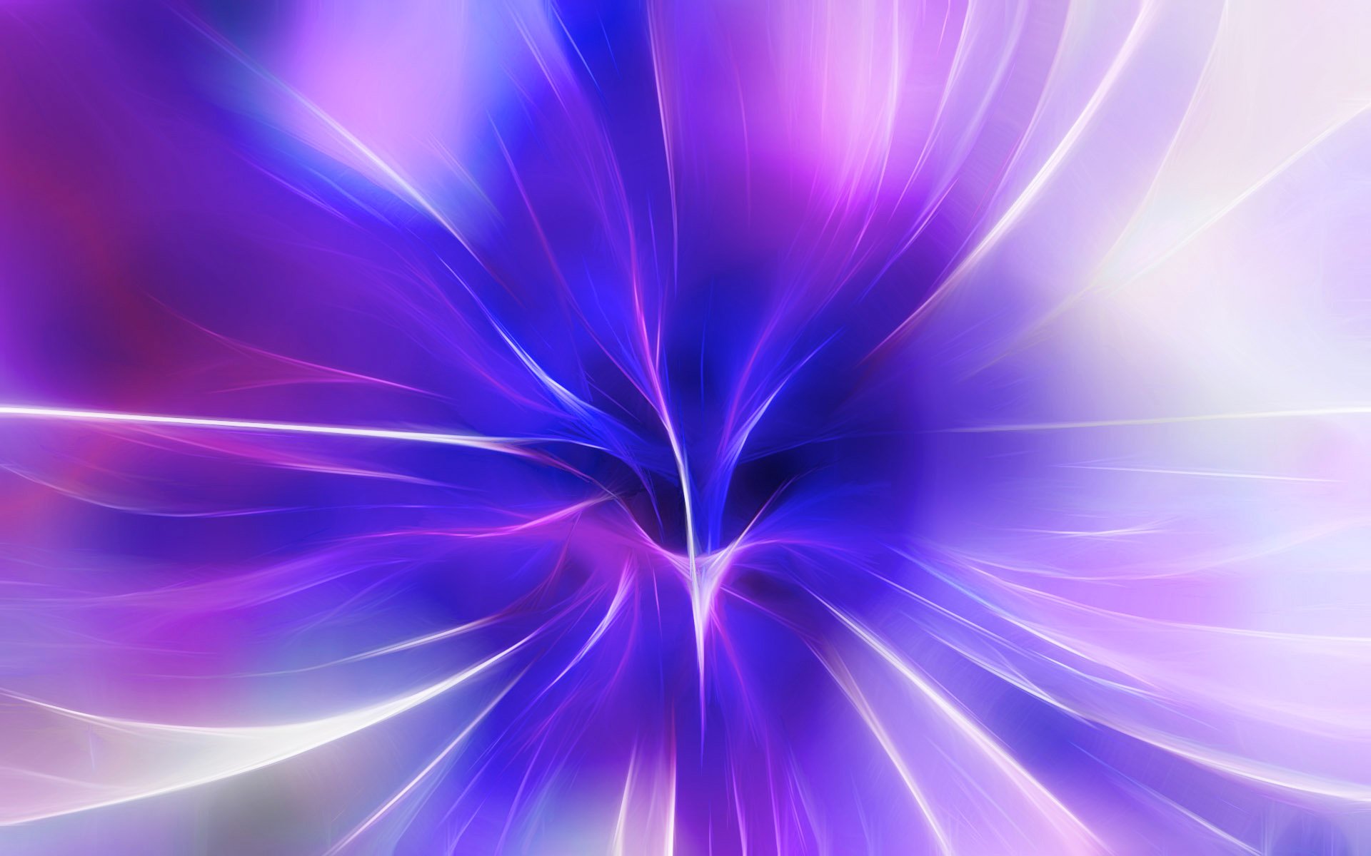 licht farbe strahlen linien mitte blume blütenblätter