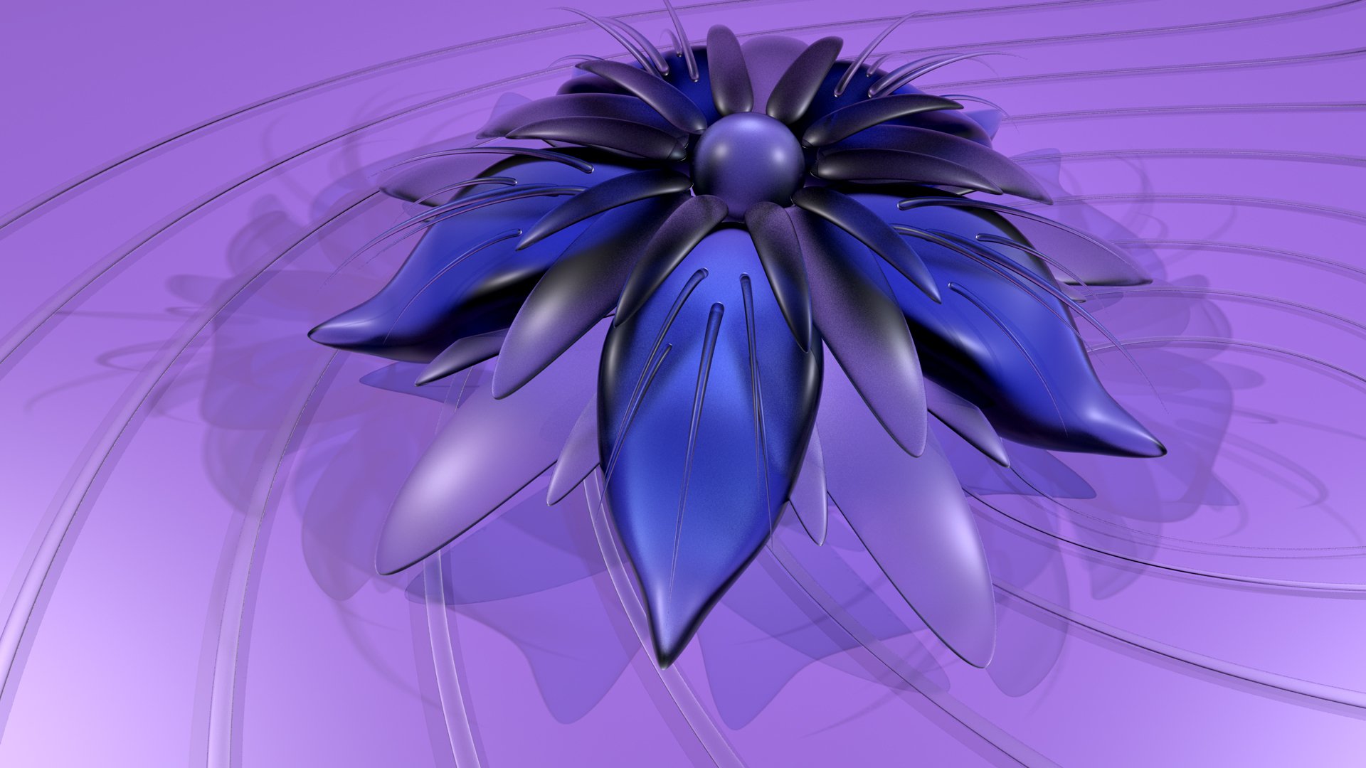 blume blütenblätter schatten streifen