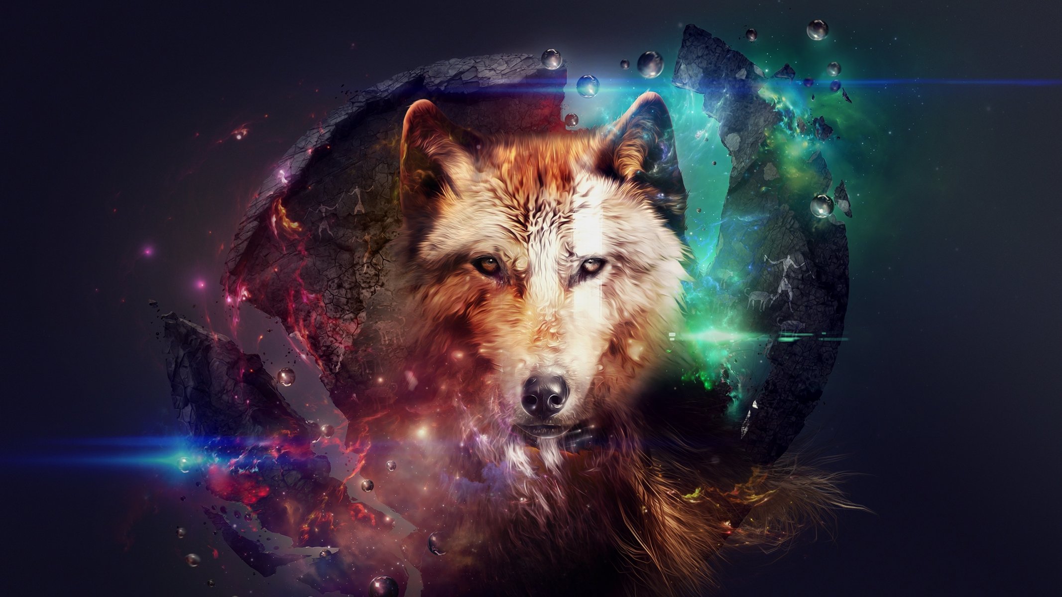 lupo animale astrazione collage belle immagini