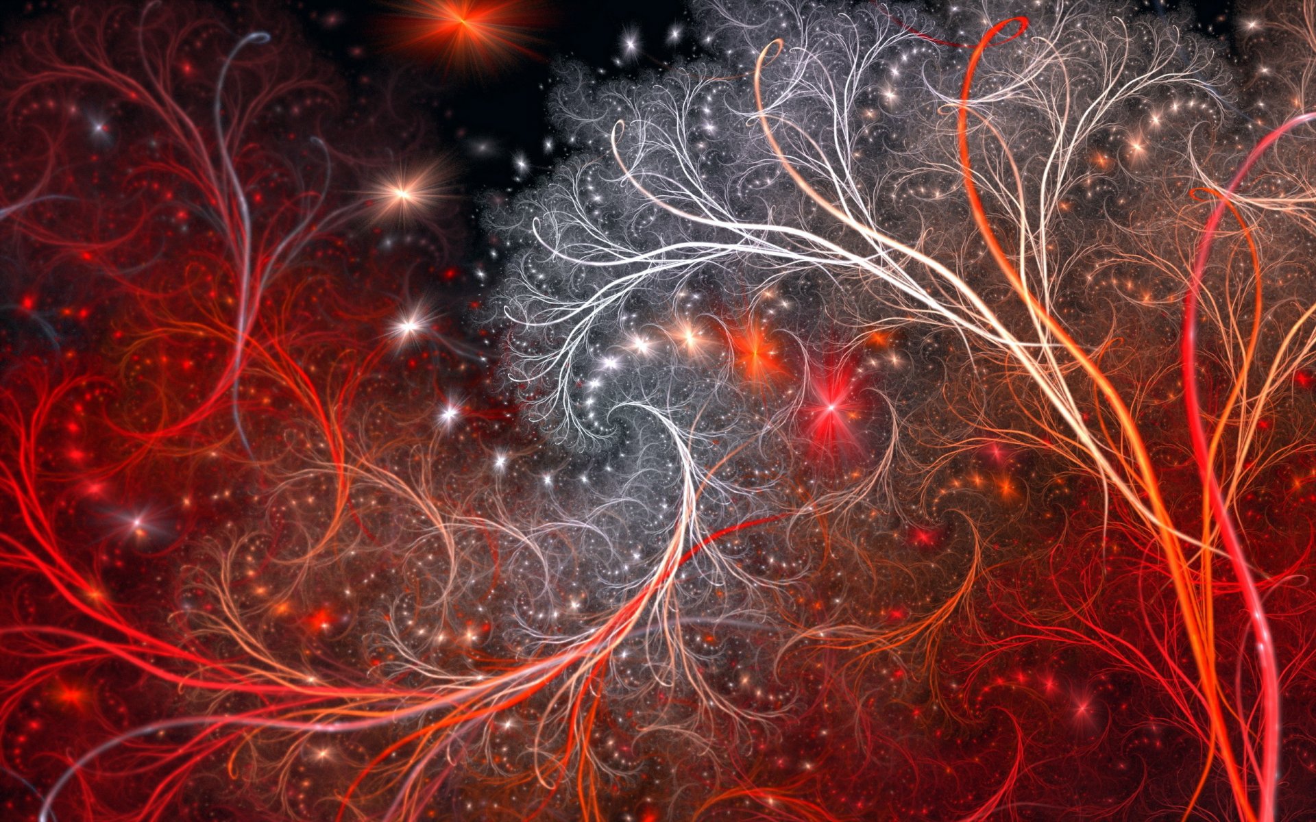 couleur forme abstraction