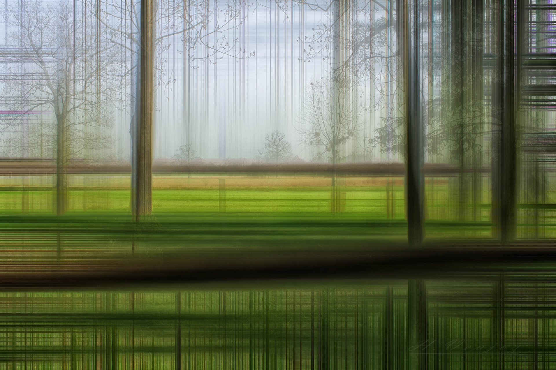 alberi erba movimento