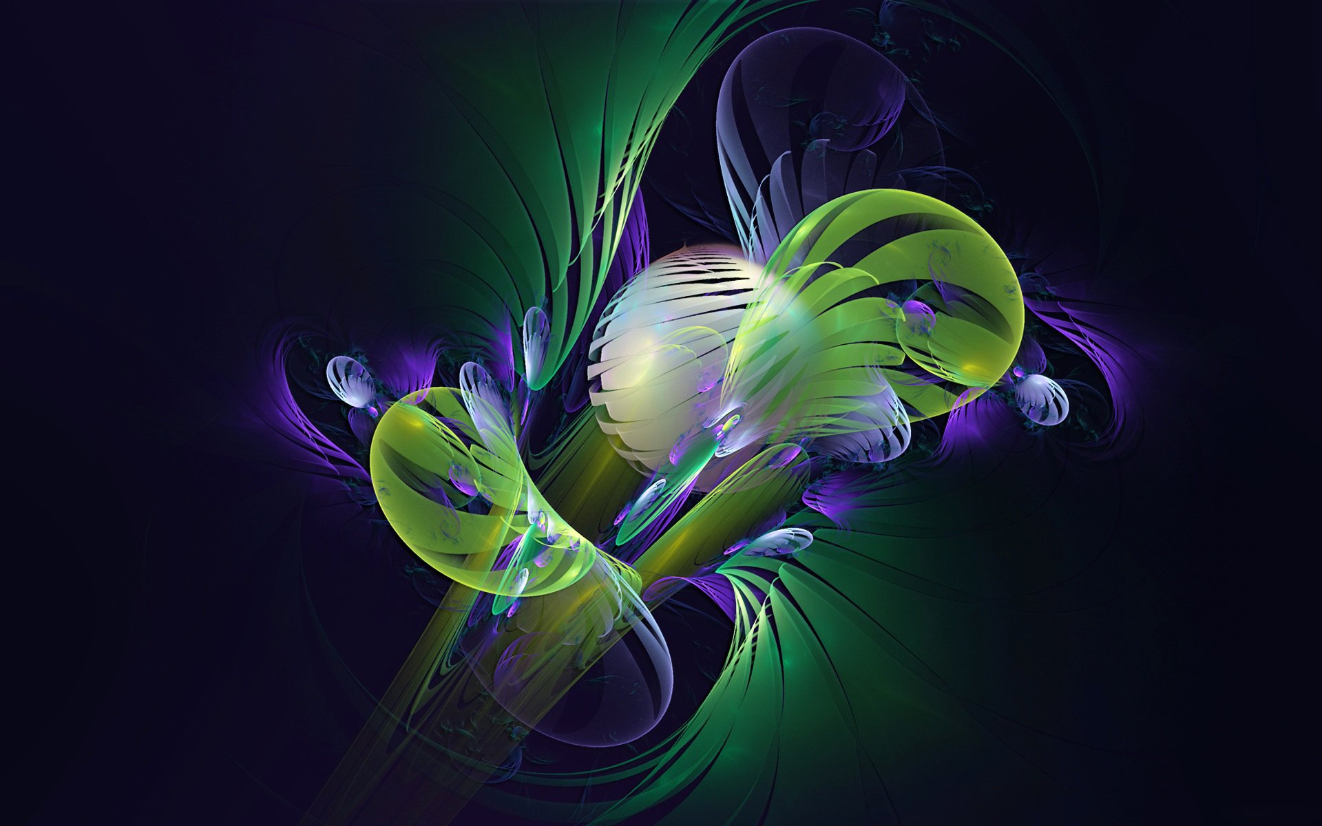 lumière couleur volume obscurité pétales