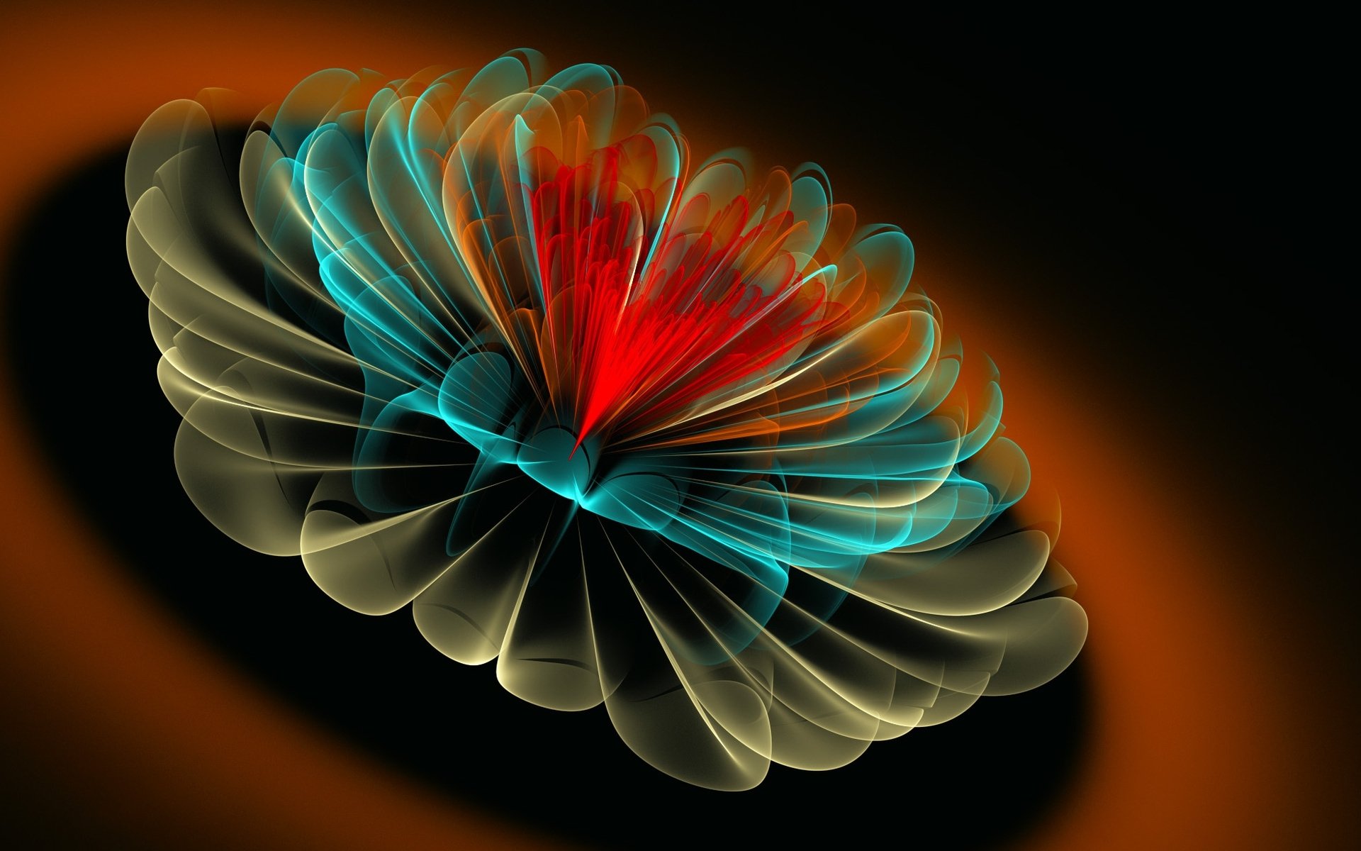 flower petals line shadow fractal