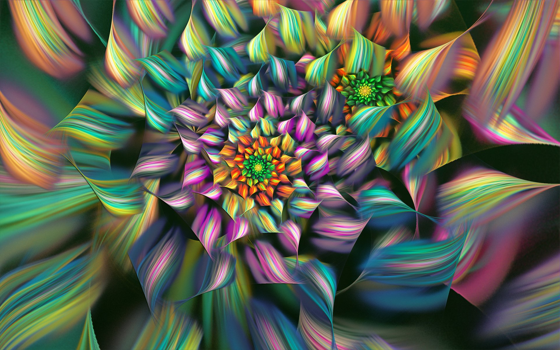blume blütenblätter linien gefärbt