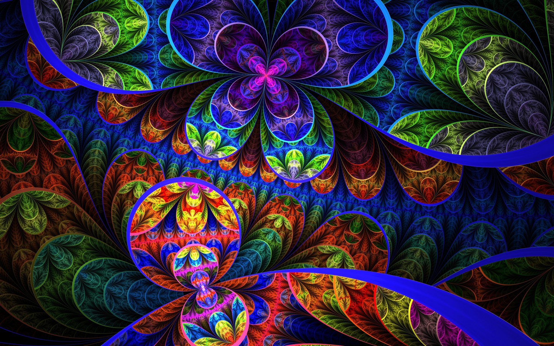modello fiori petali linee arcobaleno luce foglie simmetria cerchio anello