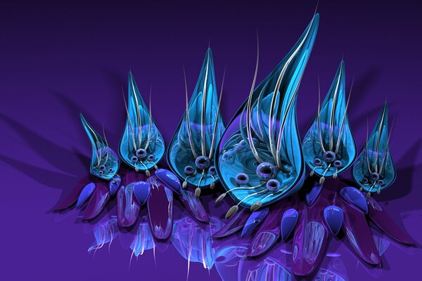 Frntachyustic flower of blue color