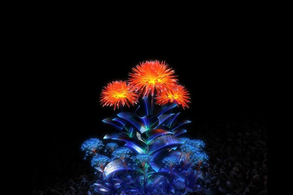 A bush of flowers in the dark with bright petals