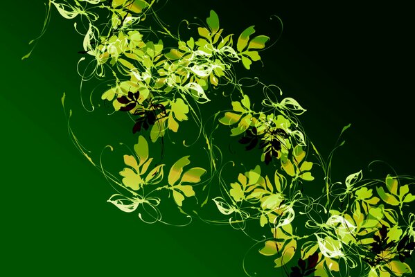 Patterns of plants on a green background