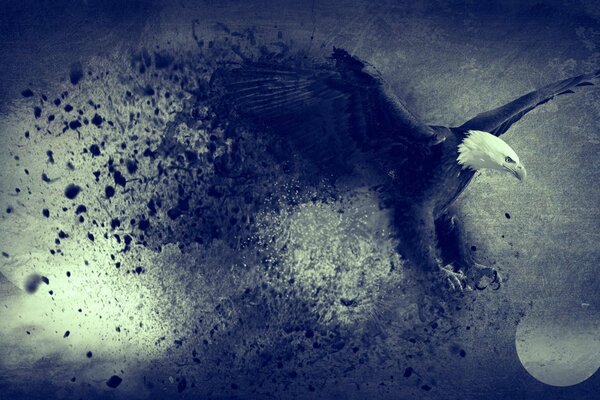 The eagle flies to freedom