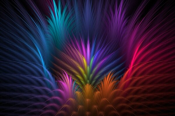 Pétales symétriques de différentes couleurs