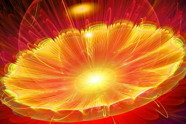 Abstraction in bright color flower