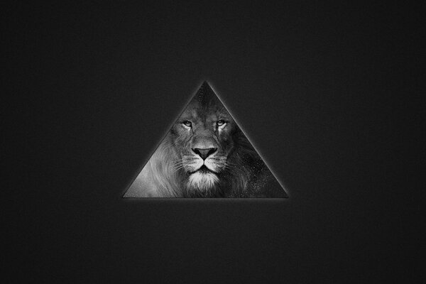 Lion dans un triangle dans les tons gris