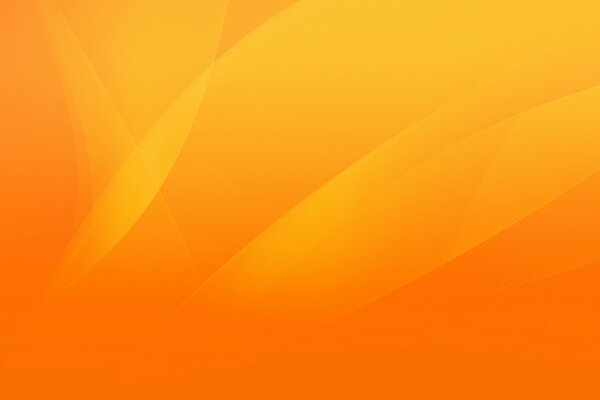 Dull petals on an orange background