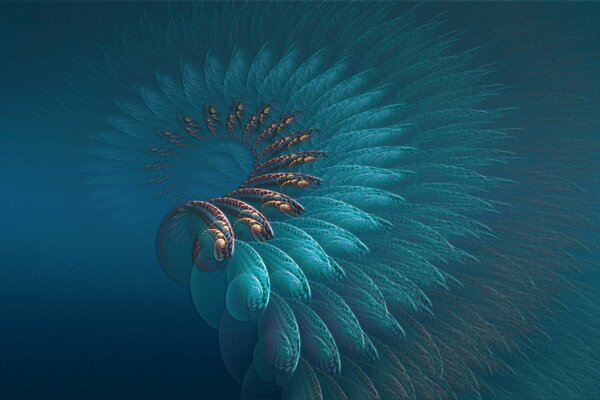 Abstract drawing in the shape of a peacock s tail