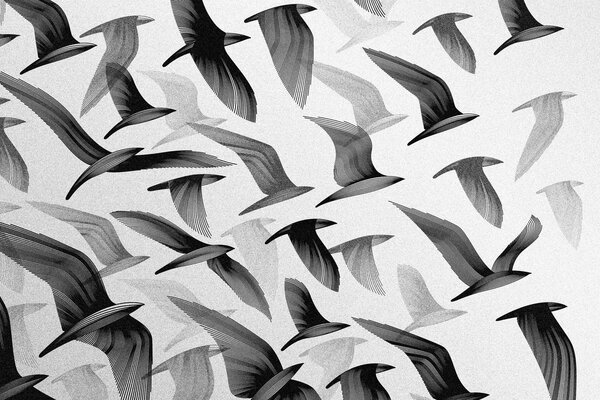 Ein Vogelschwarm fliegt nach Süden