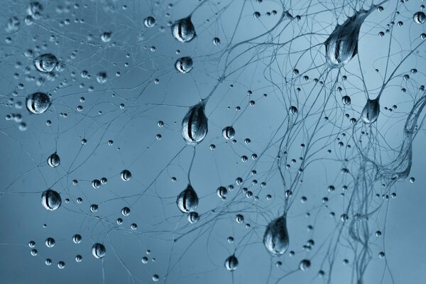 Abstraction with water drops
