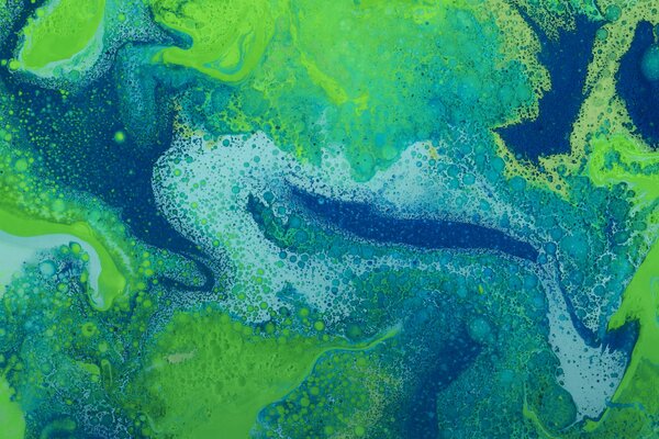 La Foresta delle fate attira gli occhi