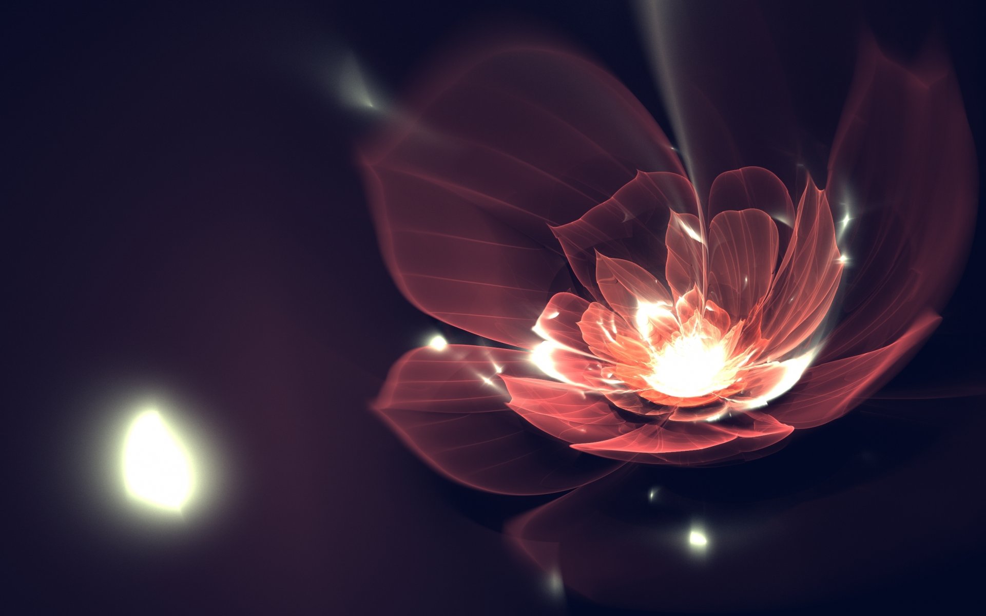 art fractal flower petals lines fractal