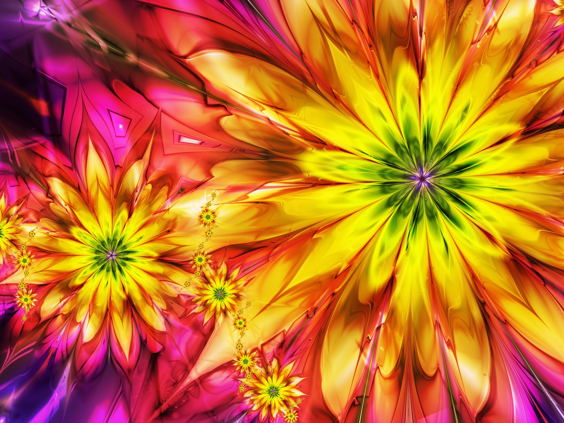 abstract flower bright colored