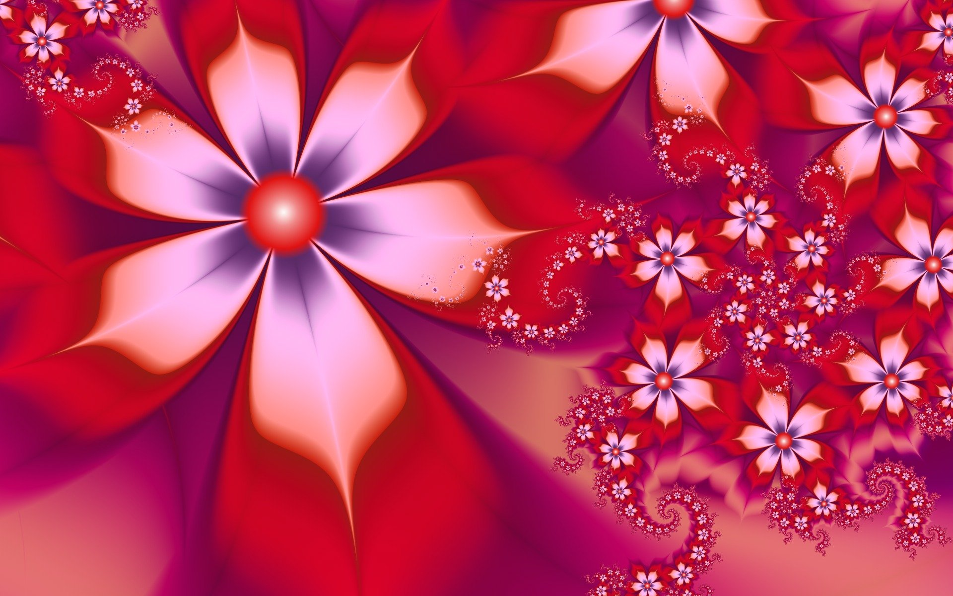 flower red white petal