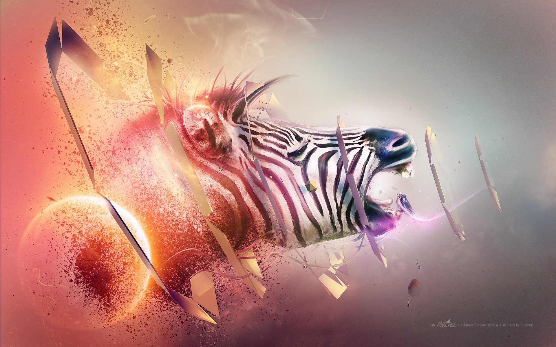 zebra black white purple blue orange red abstract