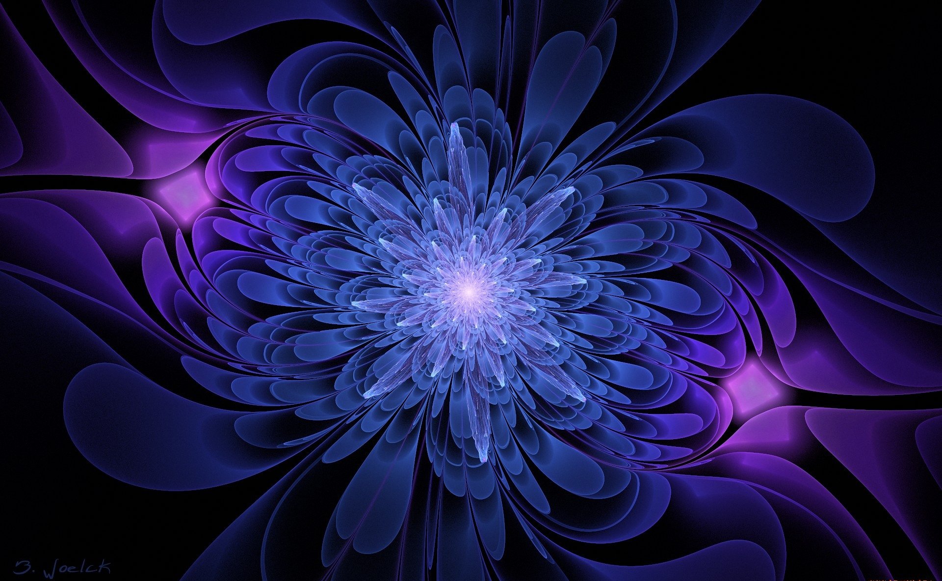 blue and serenevy color graphics flower