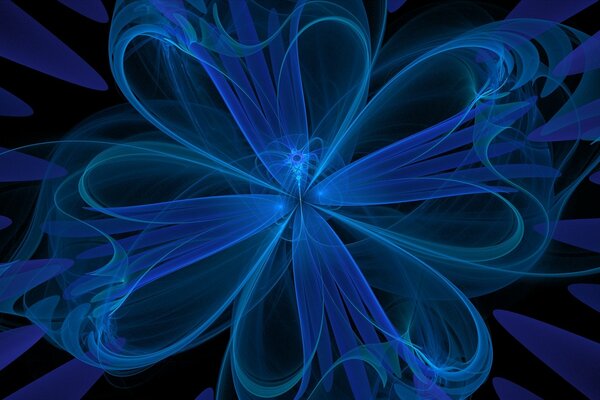 Blue flower on a black background