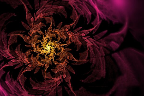 A beautiful flower. Abstraction. Illusion