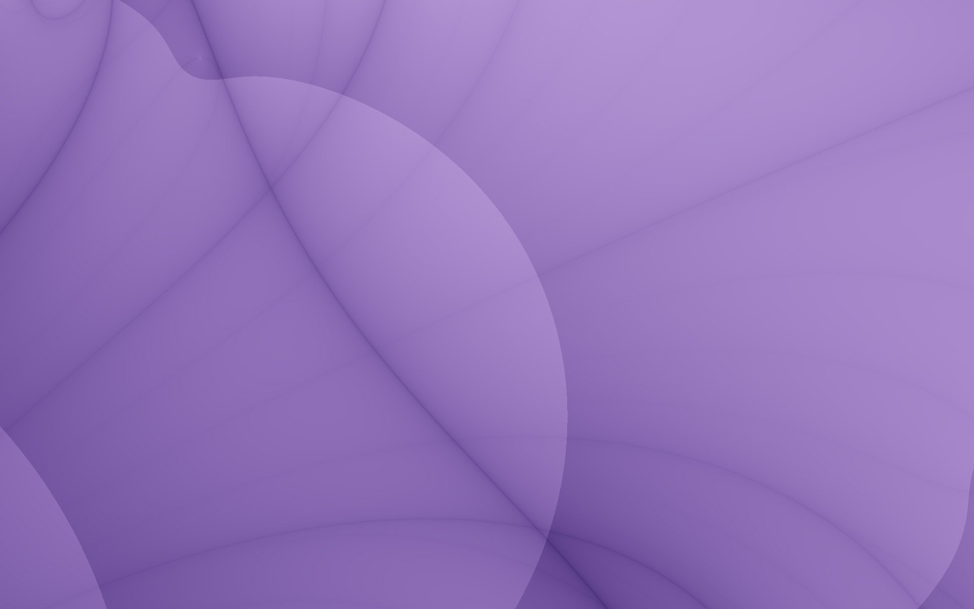 abstract purple lilac petal