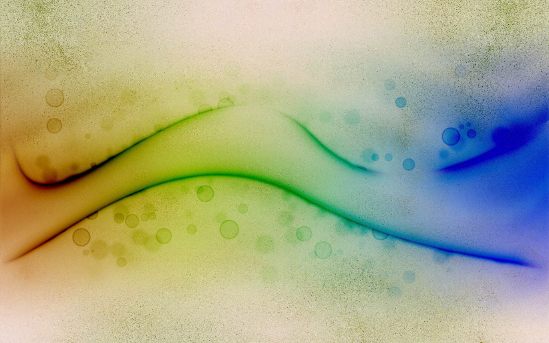 abstract style patterns lines following of paint abstraction circles dots colours 2560x1600