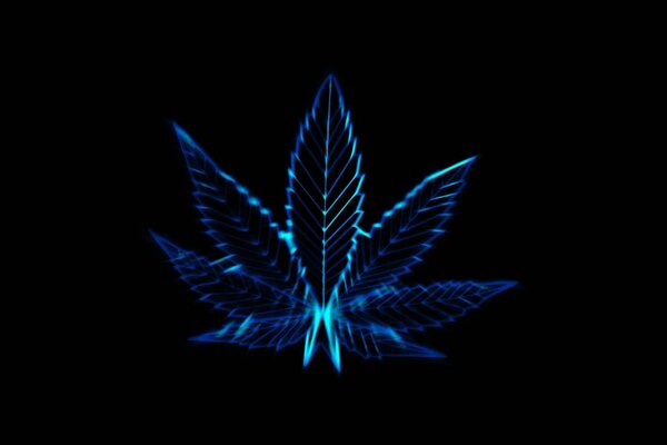 Glowing marijuana leaf on a black background