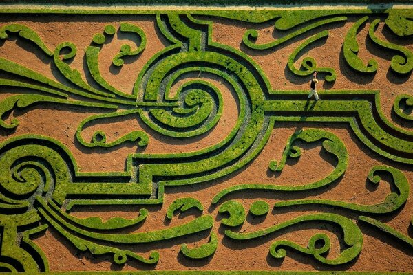 Green maze top view