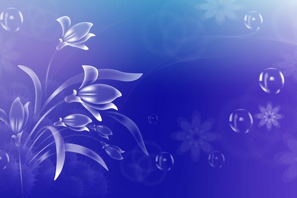 Flowers and bubbles on a blue background