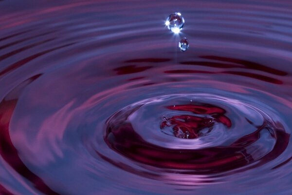 Cercles sur l eau couleur et lumière spectacle