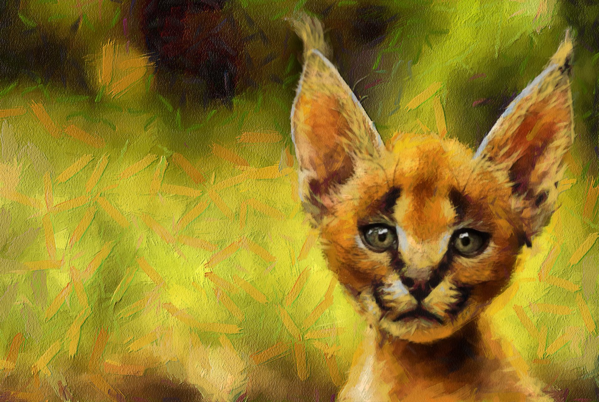 caracal museau fond