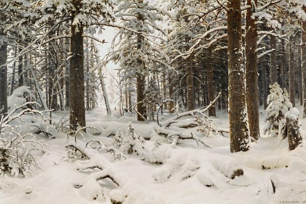 Disegno della natura di Ivan Shishkin