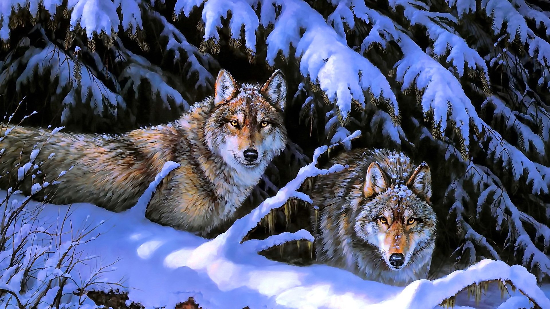 loups arbres animaux hiver nature neige