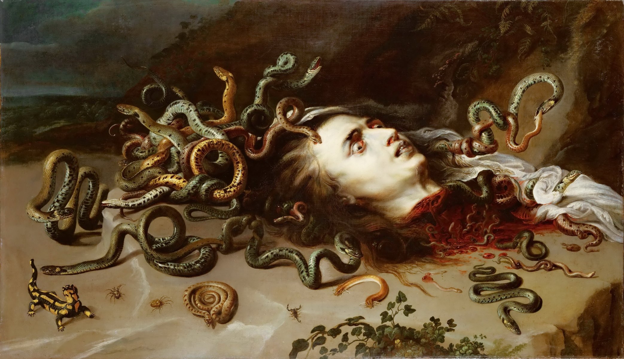 peter paul rubens the head of medusa pattern medusa