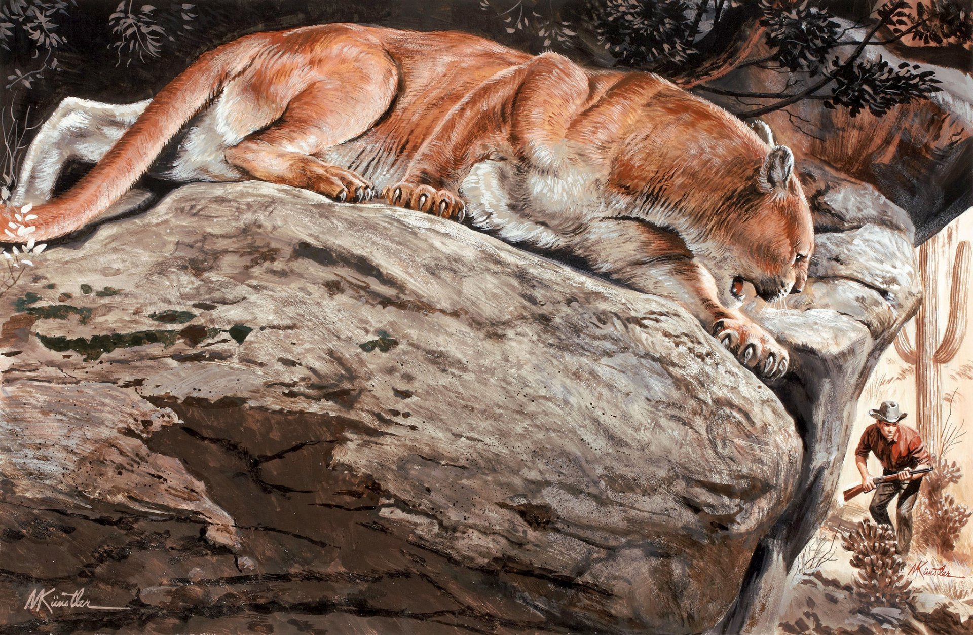 mort künstler puma kuguar lew górski żbik drapieżnik kamienie myśliwy natura