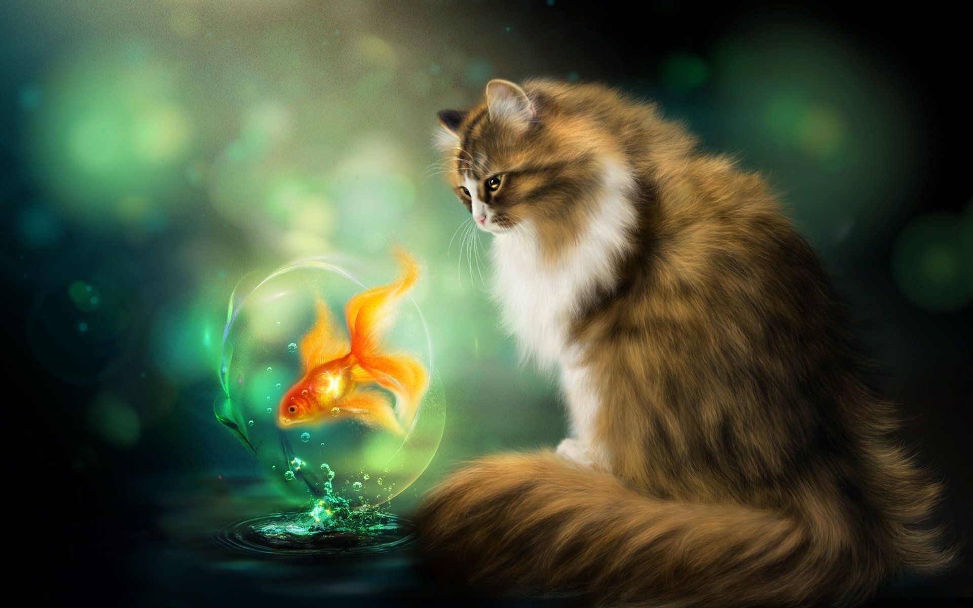 nelena photoshop katze goldfisch fisch