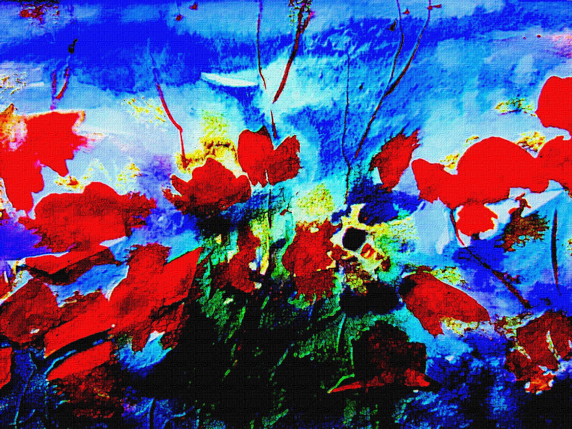 muster blumen rot blauer hintergrund