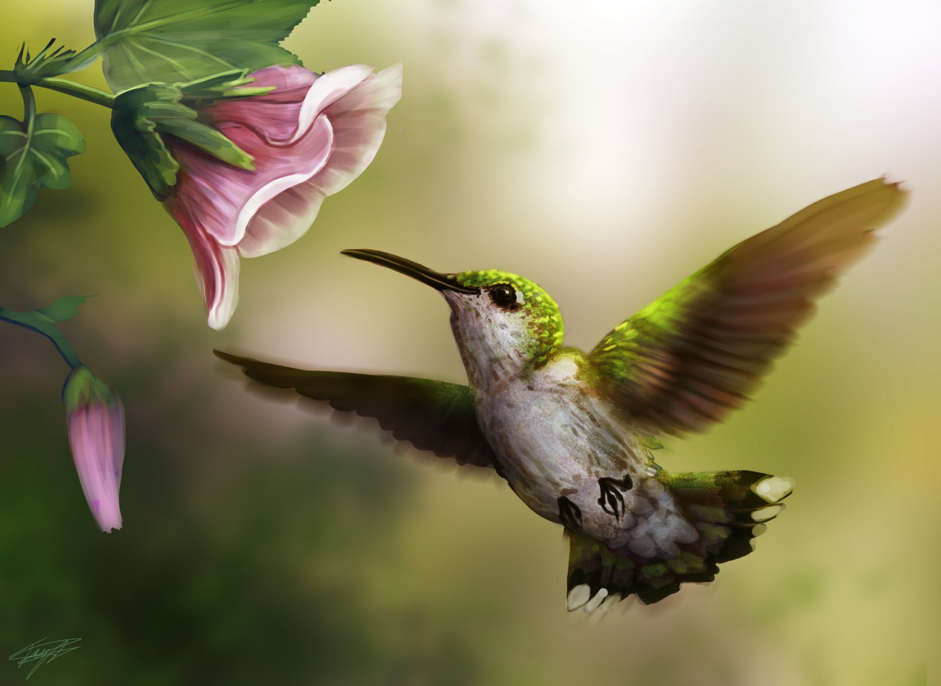 arte pájaro colibrí flor rosa