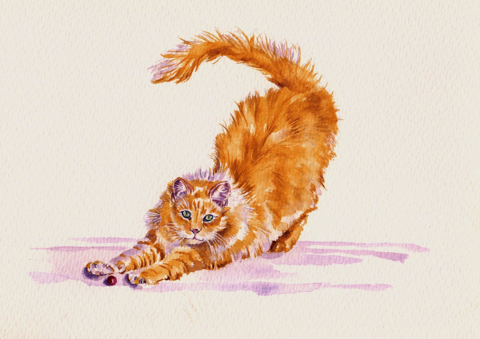 cat cat stretching watercolor