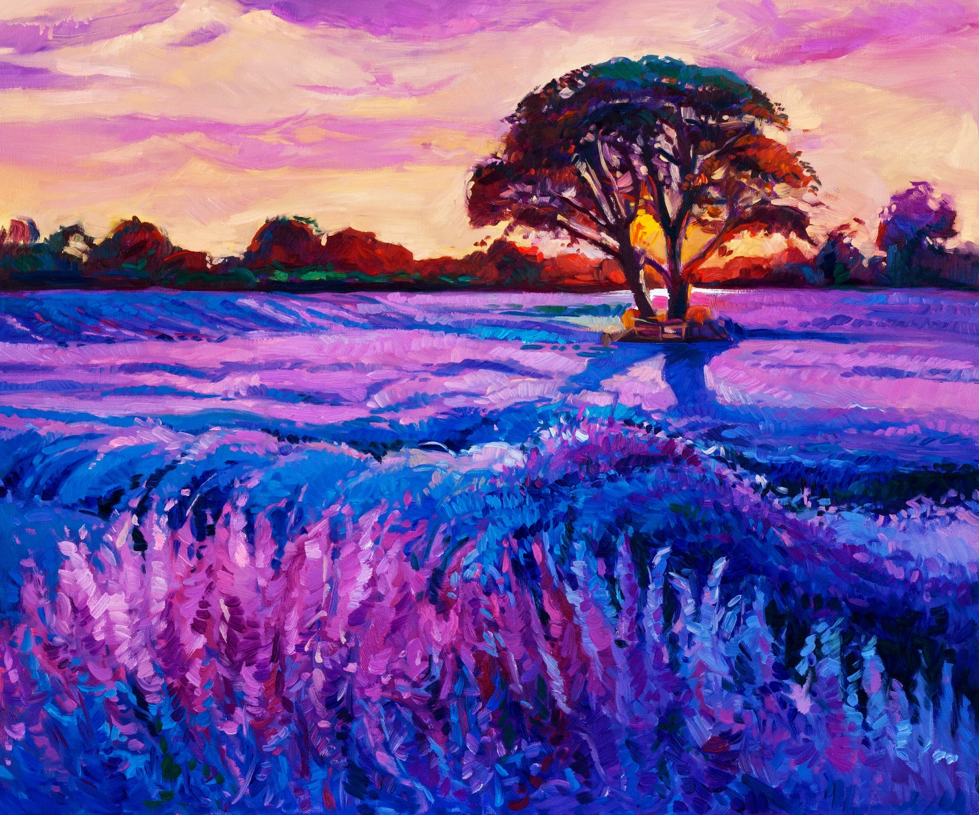 peinture beauté coucher de soleil ciel nature fleurs arbres