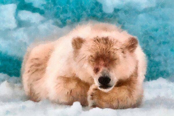 A polar bear is lying in the snow